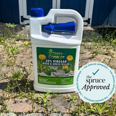Une bouteille de Green Gobbler 20% Vinegar Weed Killer à l'extérieur sur des pavés en pierre.
