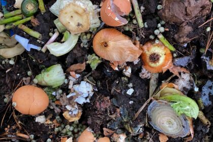 7 Méthodes Efficaces pour Éloigner Définitivement les Pests Indésirables de Votre Compost