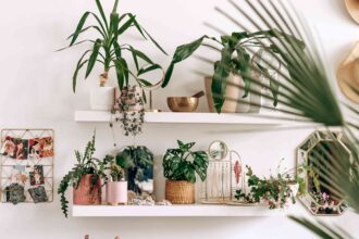 6 Astuces de Pro pour Jardiner en Appartement pour des Plantes en Pleine Santé