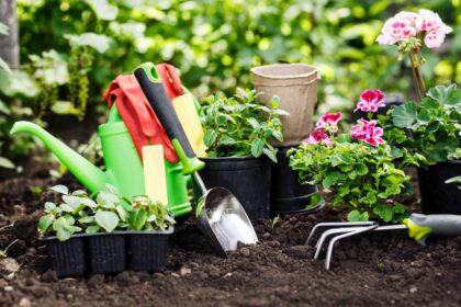 5 Tâches de Jardinage au Printemps que les Professionnels Redoutent Chaque Année