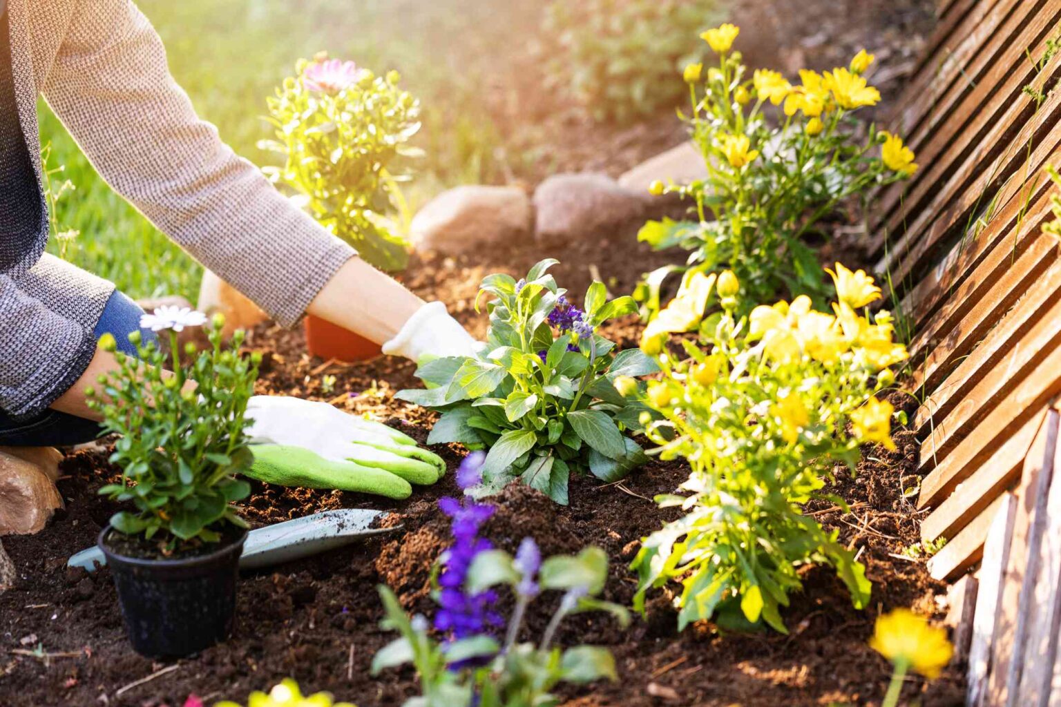 Les jardiniers affirment : c’est le moment idéal pour commencer à planifier votre jardin de printemps – voici pourquoi.