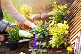 Les jardiniers affirment : c’est le moment idéal pour commencer à planifier votre jardin de printemps – voici pourquoi.