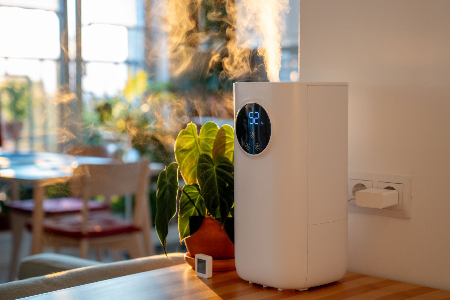 Humidificateur fonctionnant dans une maison à côté d'une plante en pot