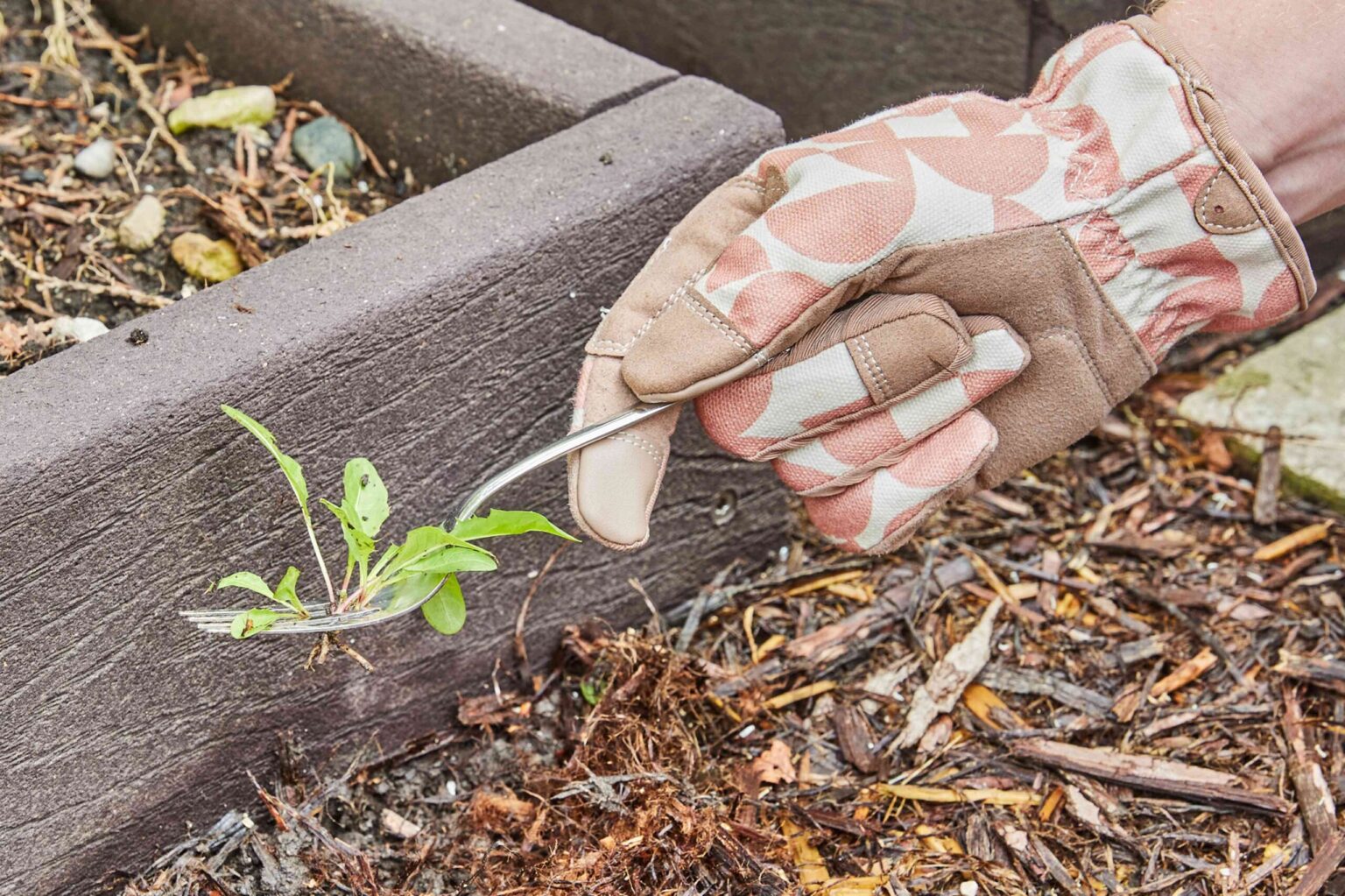 Une fourche est un excellent outil pour désherber au jardin : comment l’utiliser.