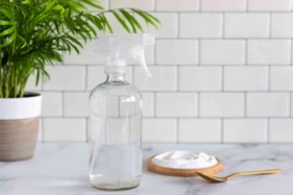 Utilisez un spray de bicarbonate de soude pour traiter les problèmes fongiques des plantes.