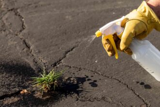 L’eau de Javel tue-t-elle vraiment les mauvaises herbes ? Comment créer un désherbant maison qui fonctionne réellement.