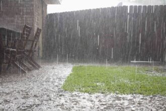 La boue recouvre votre pelouse cet hiver ? 5 solutions rapides pour y remédier.
