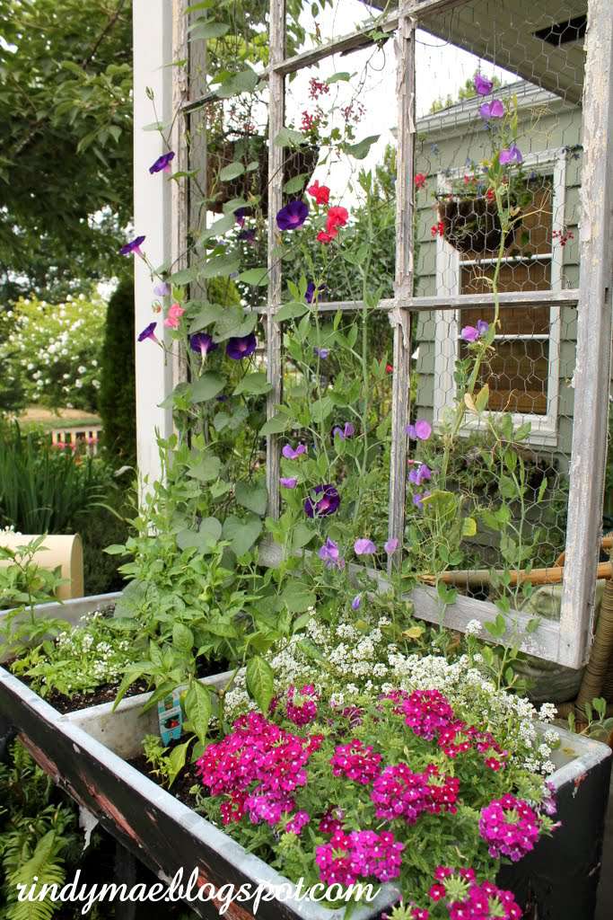 Treillis de jardin DIY