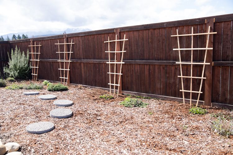 treillis de cèdre diy