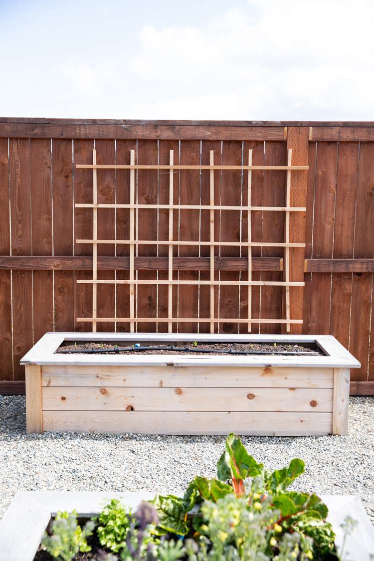 treillis diy en bois de cèdre