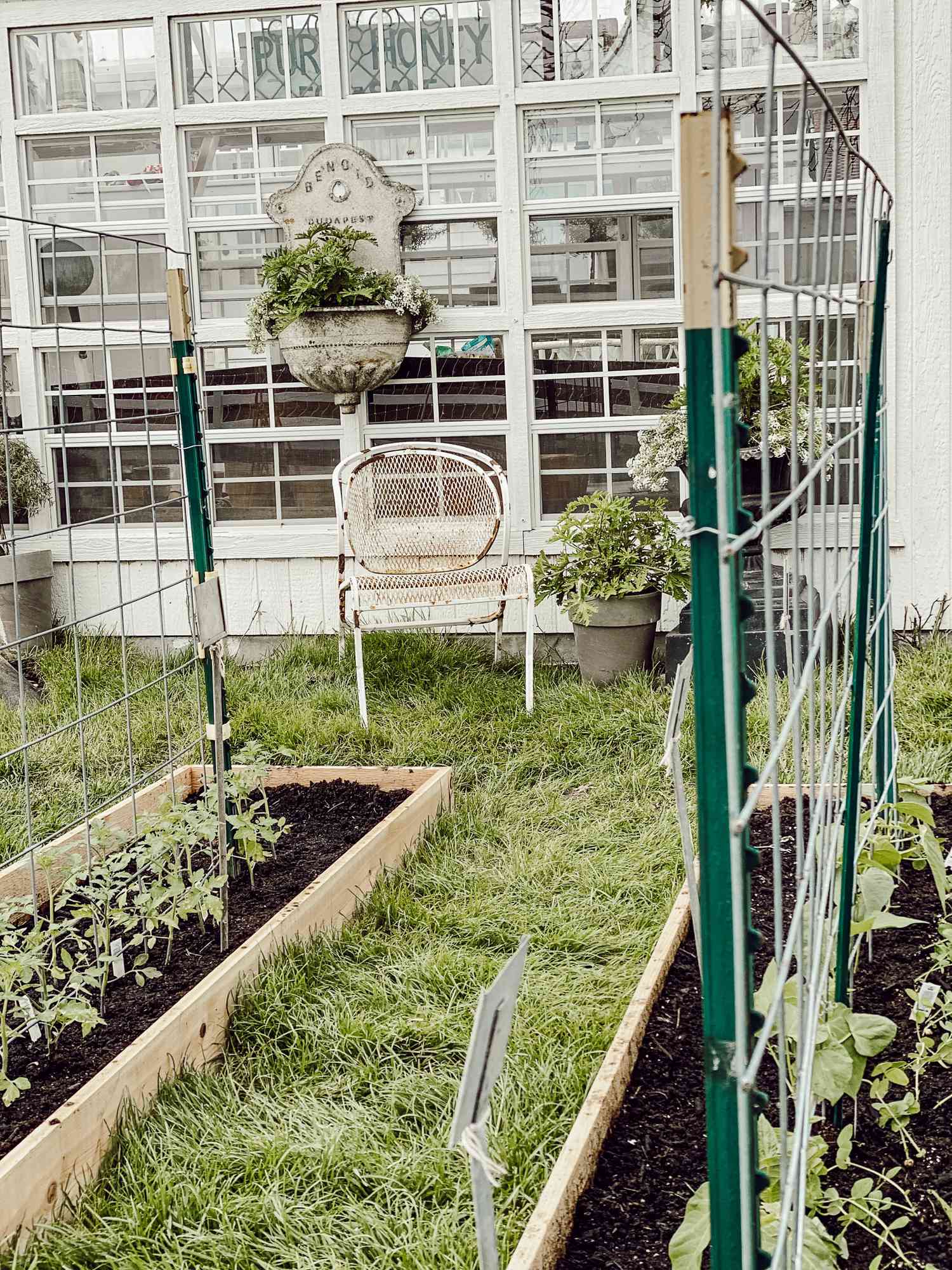 idées de treillis de jardin diy