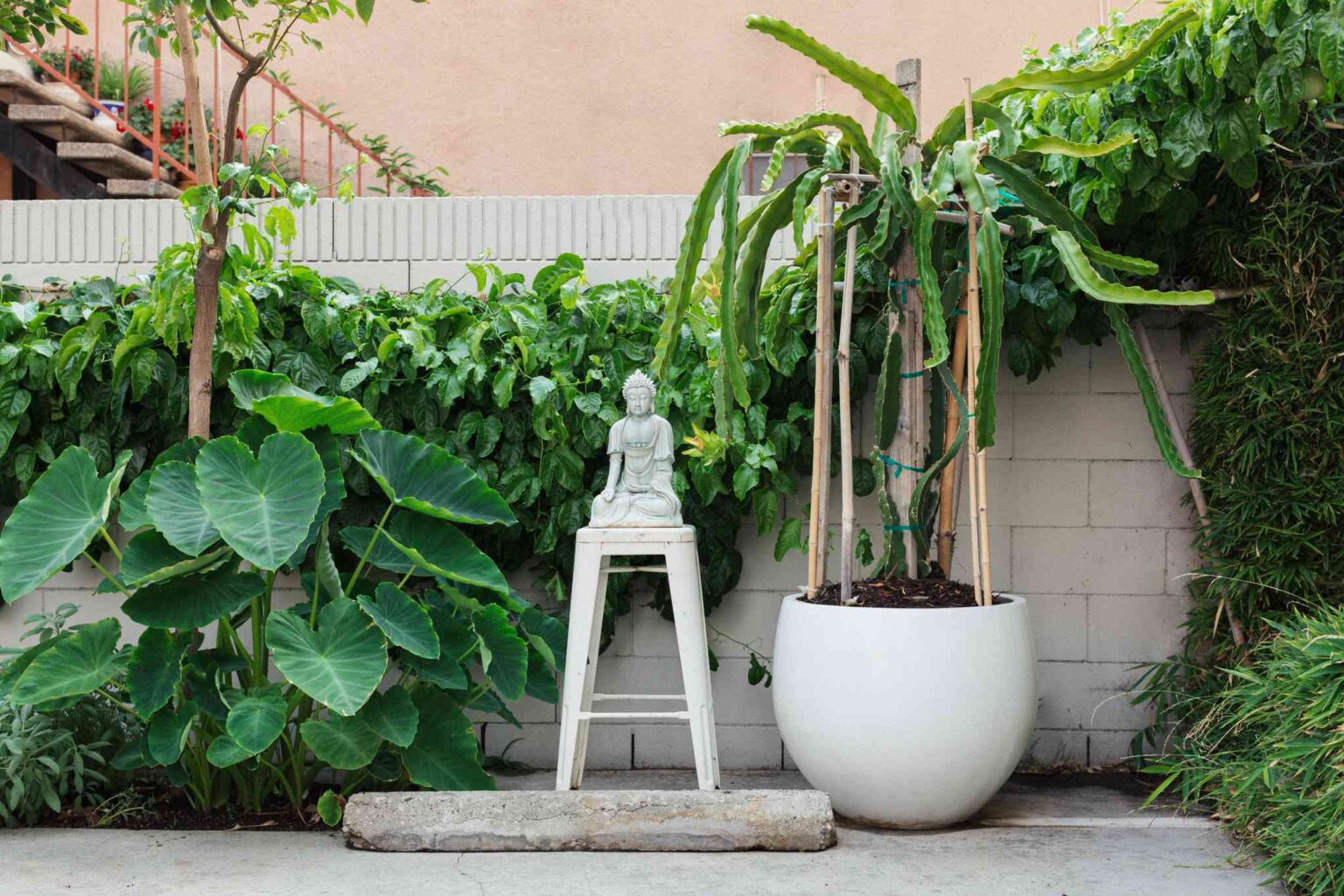 24 Idées de Treillis DIY Faciles pour Votre Jardin